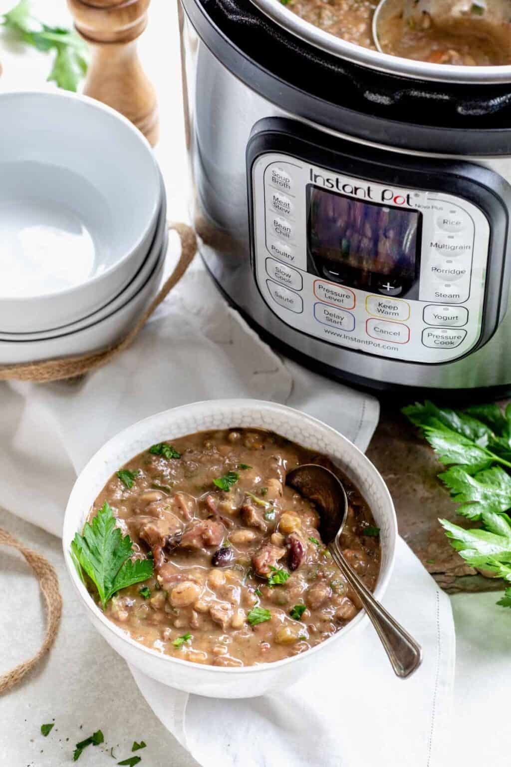 10 Things to Never Do With Your Instant Pot Six Sisters' Stuff