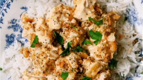 A plate of Poppy Seed Chicken Casserole served over rice.