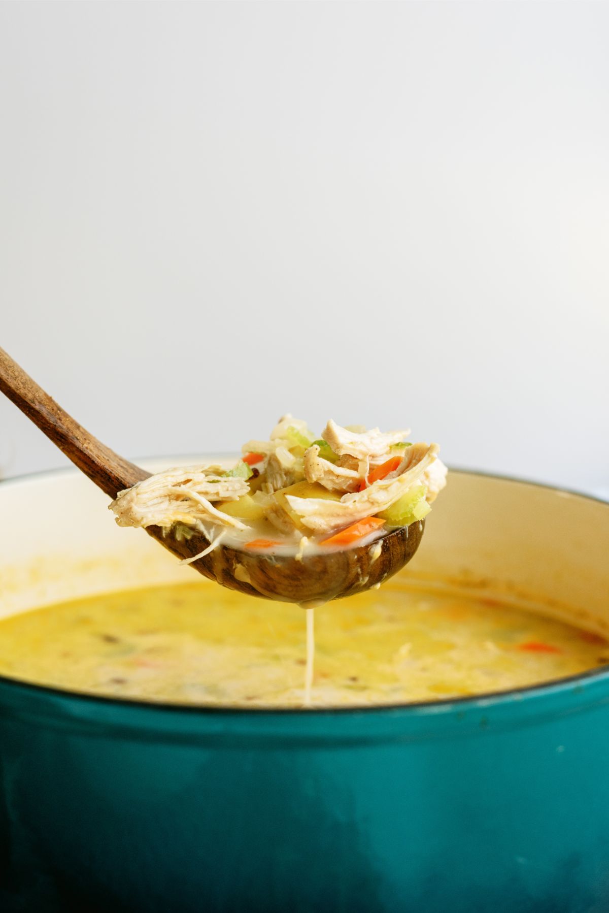 A ladle of soup out of the stock pot