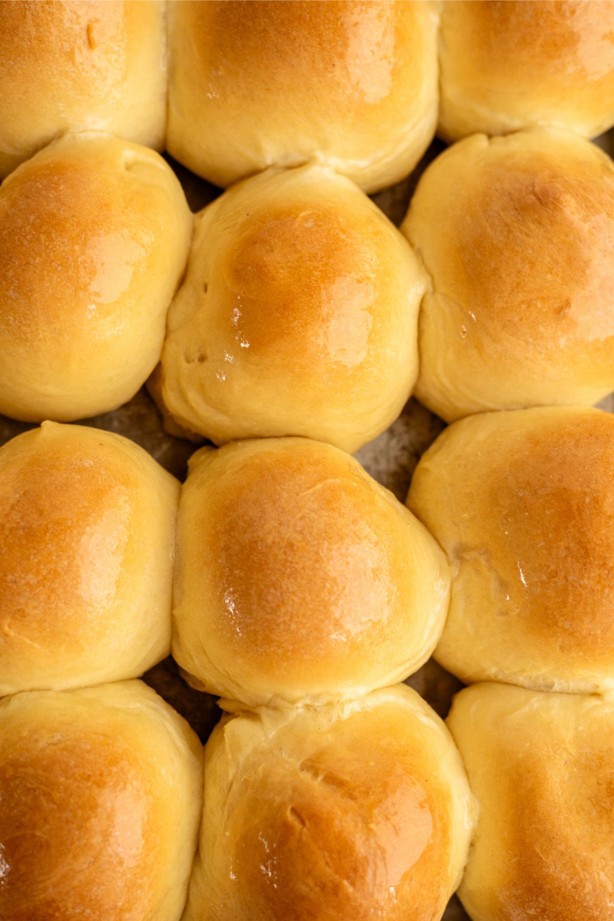Top view of Parkerhouse Rolls on a baking sheet