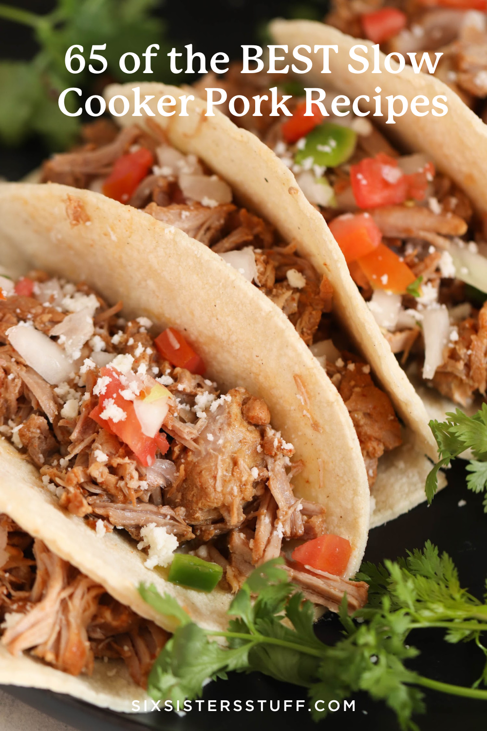65 of the BEST Slow Cooker Pork Recipes