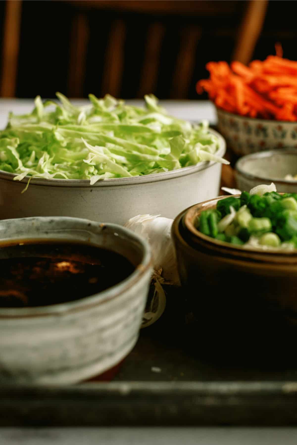 A bowl of Chow Mein Sauce with chopped veggies