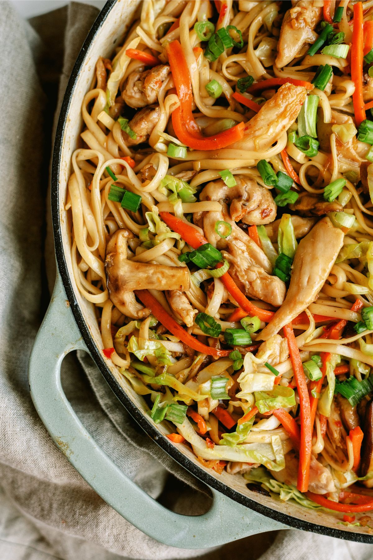 Chow Mein in a pan