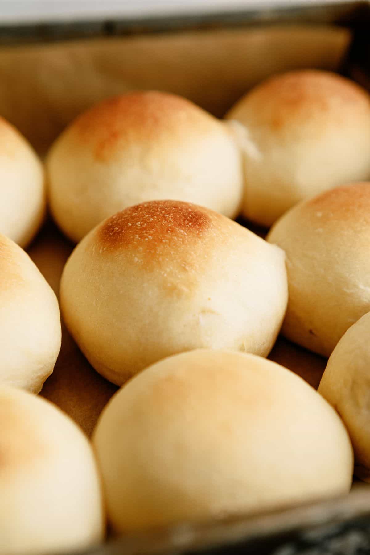 A pan of baked Homemade Potato Rolls