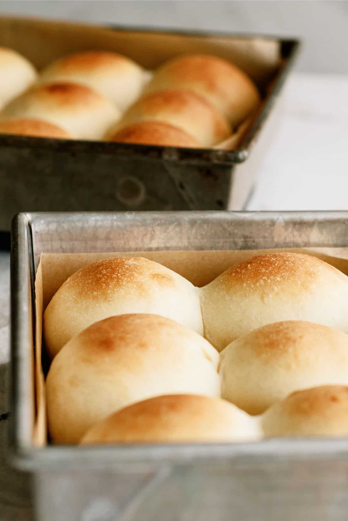 2 pans of baked Homemade Potato Rolls