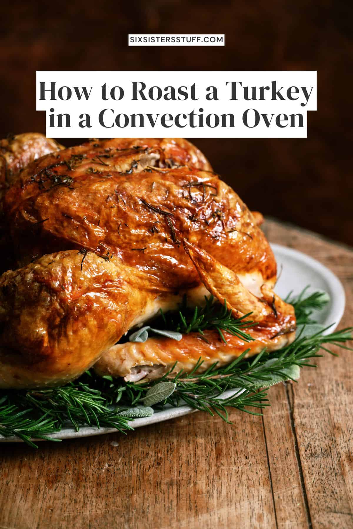 How to Roast a Turkey in a Convection Oven - Six Sisters' Stuff