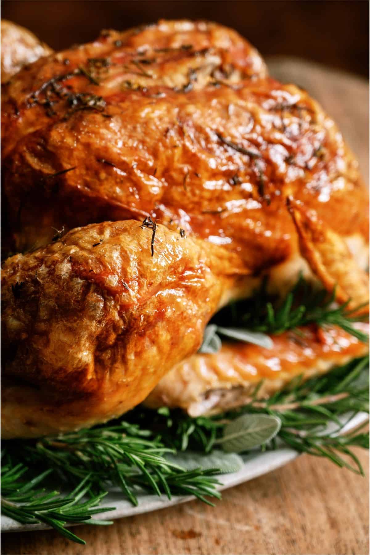 Close up of a roasted turkey.