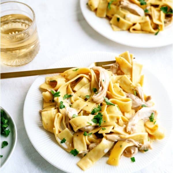 Instant Pot Chicken and Noodles Recipe