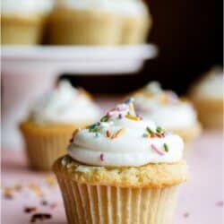 Easy Vanilla Cupcake with frosting and sprinkles. On a pink background. With other cupcakes in the background.