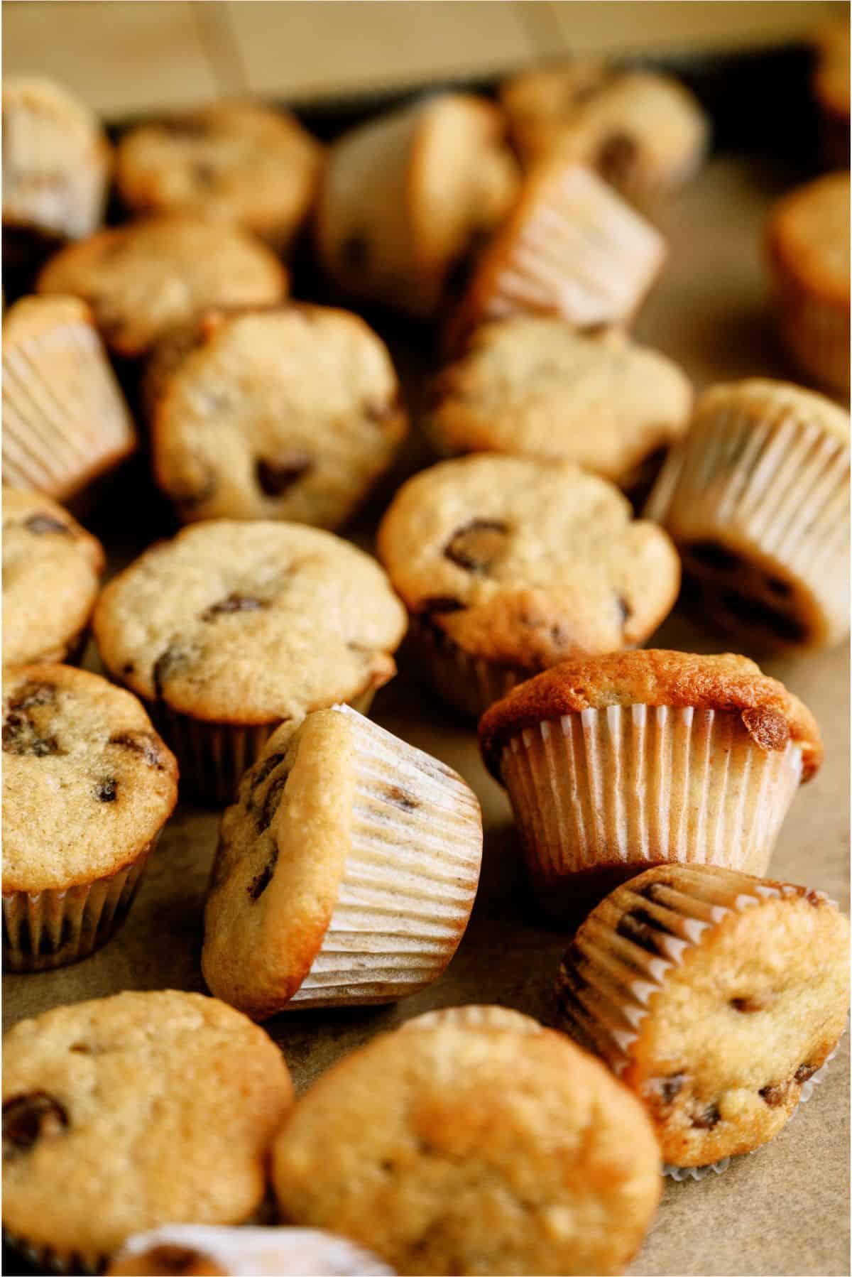 A tray filled with numerous small chocolate chip muffins, some of which are slightly tilted, displayed on a parchment-lined surface.