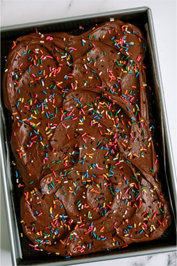 One Bowl Chocolate Cake in a cake pan on a white background.