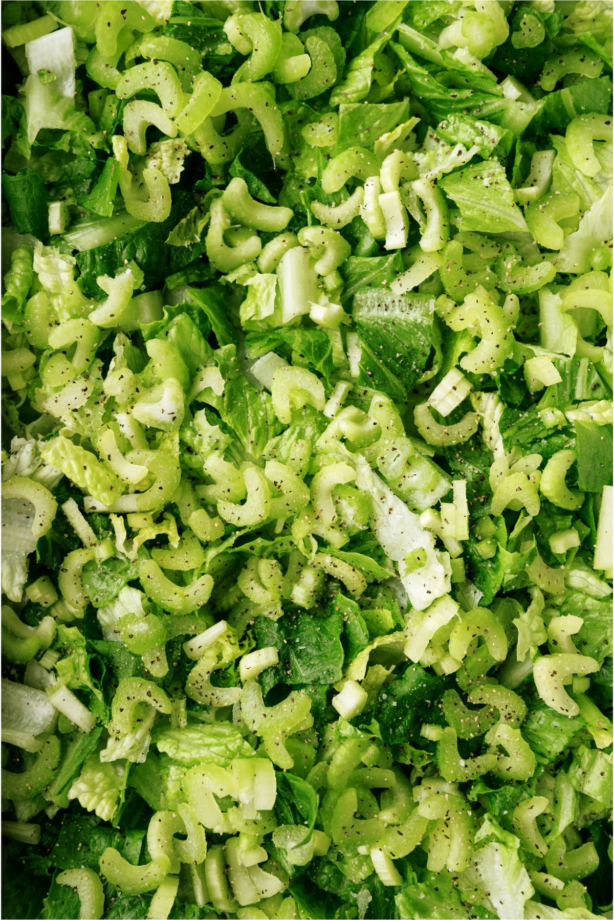 Chopped lettuce with chopped celery and salt and pepper