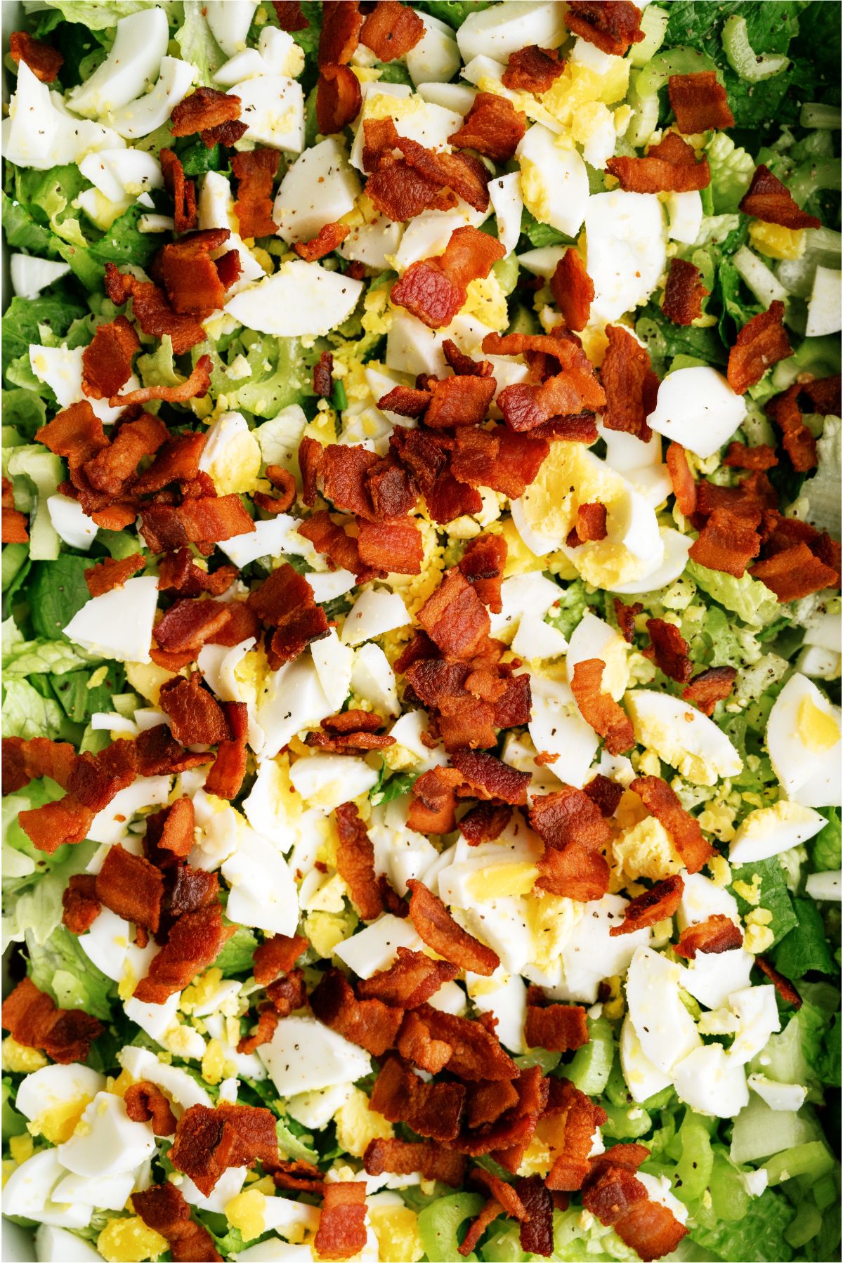 Chopped bacon and eggs added on top of celery layer