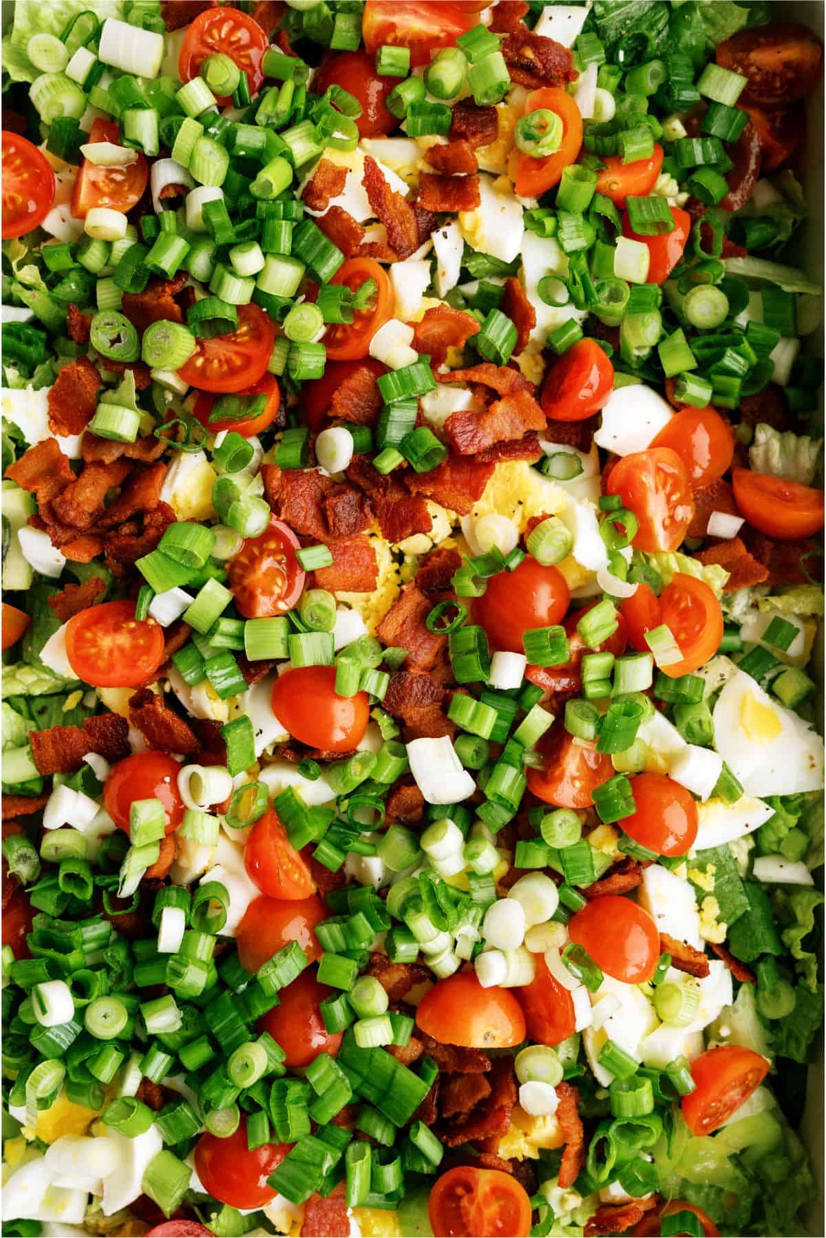 Chopped tomatoes and green onions layered on top