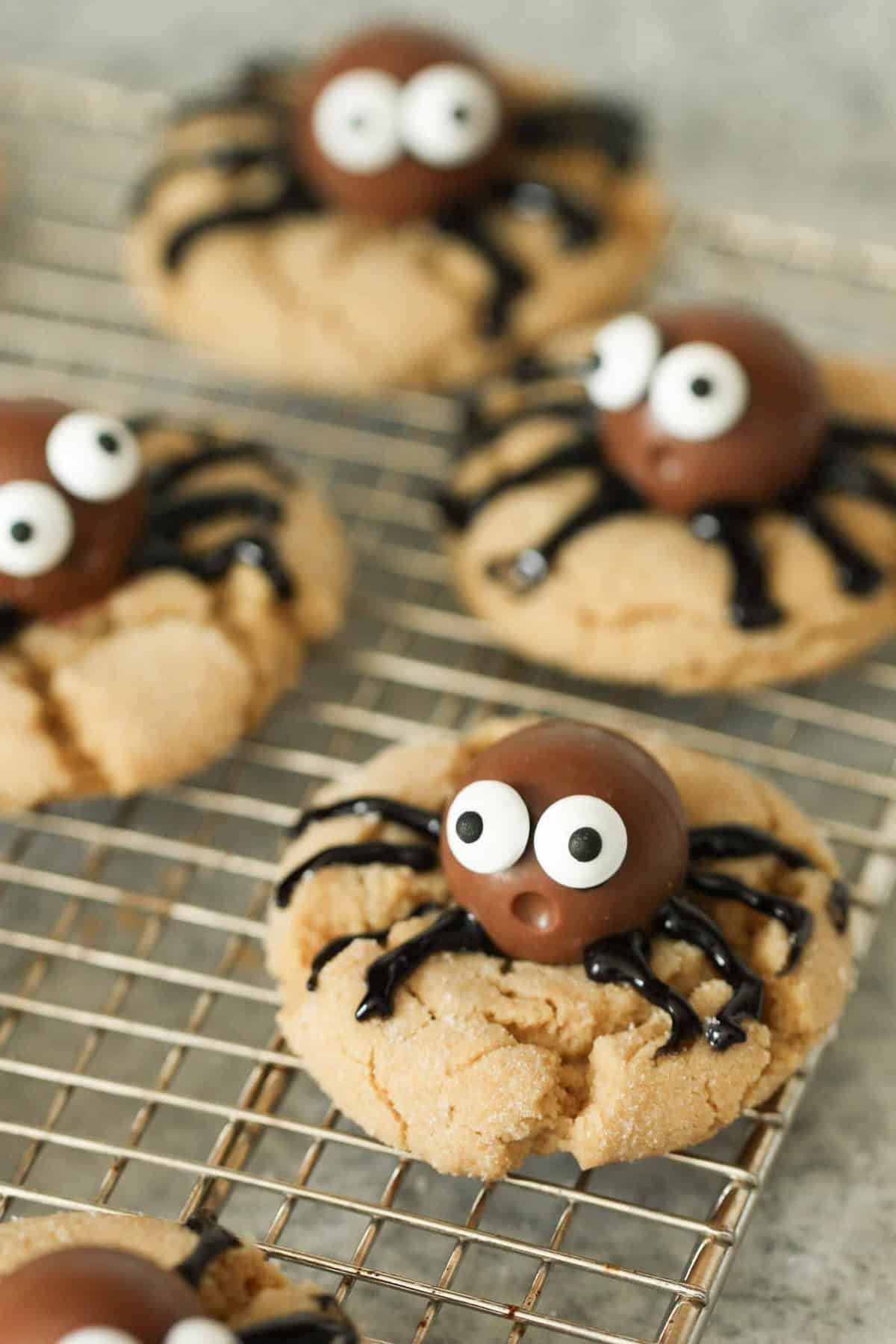 Peanut butter cookies topped with chocolate candy and icing arranged to look like spiders are placed on a cooling rack.