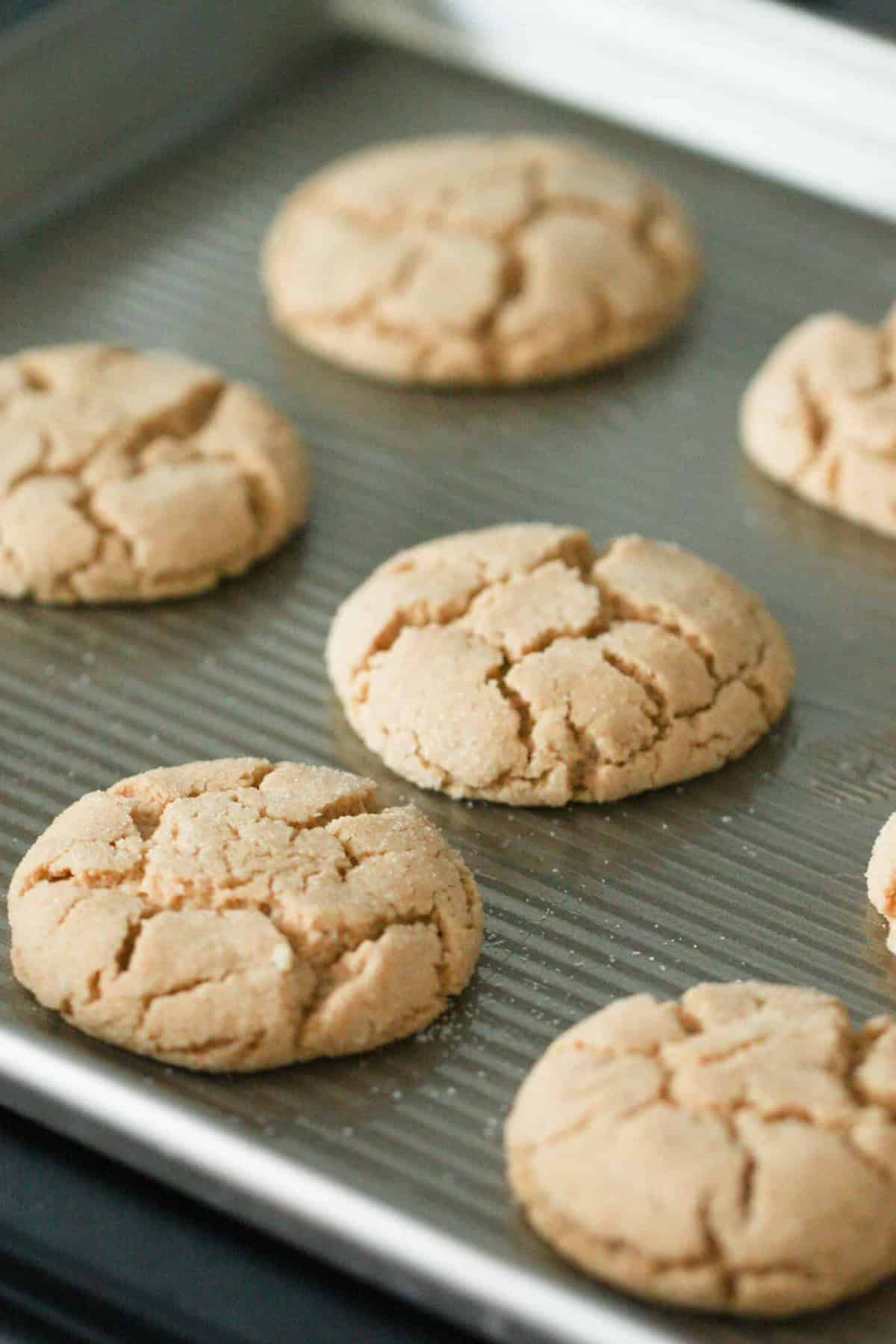 A baking sheet with six round, cracked-top cookies that appear freshly baked.