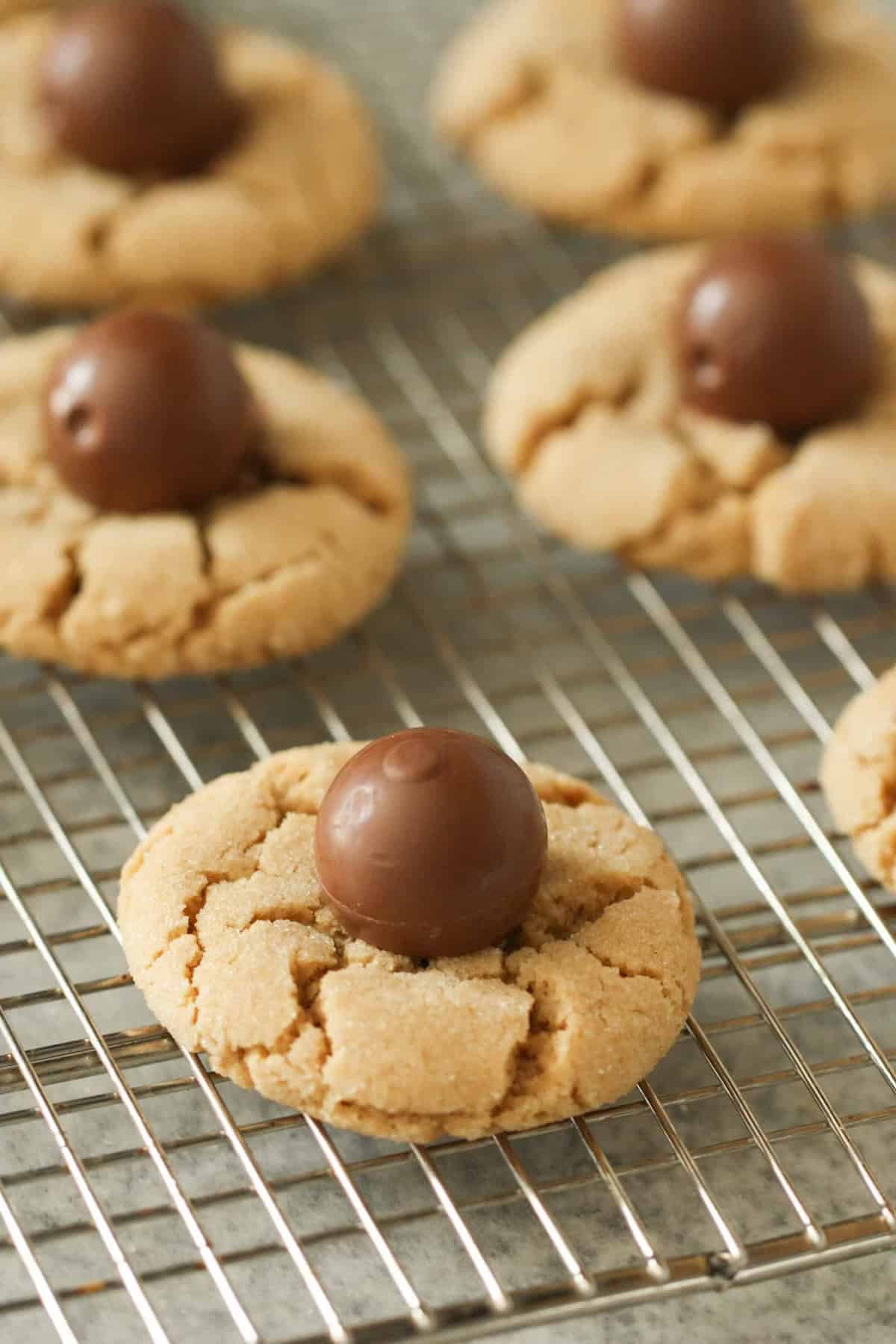 Several peanut butter cookies topped with chocolate balls cooling on a wire rack.