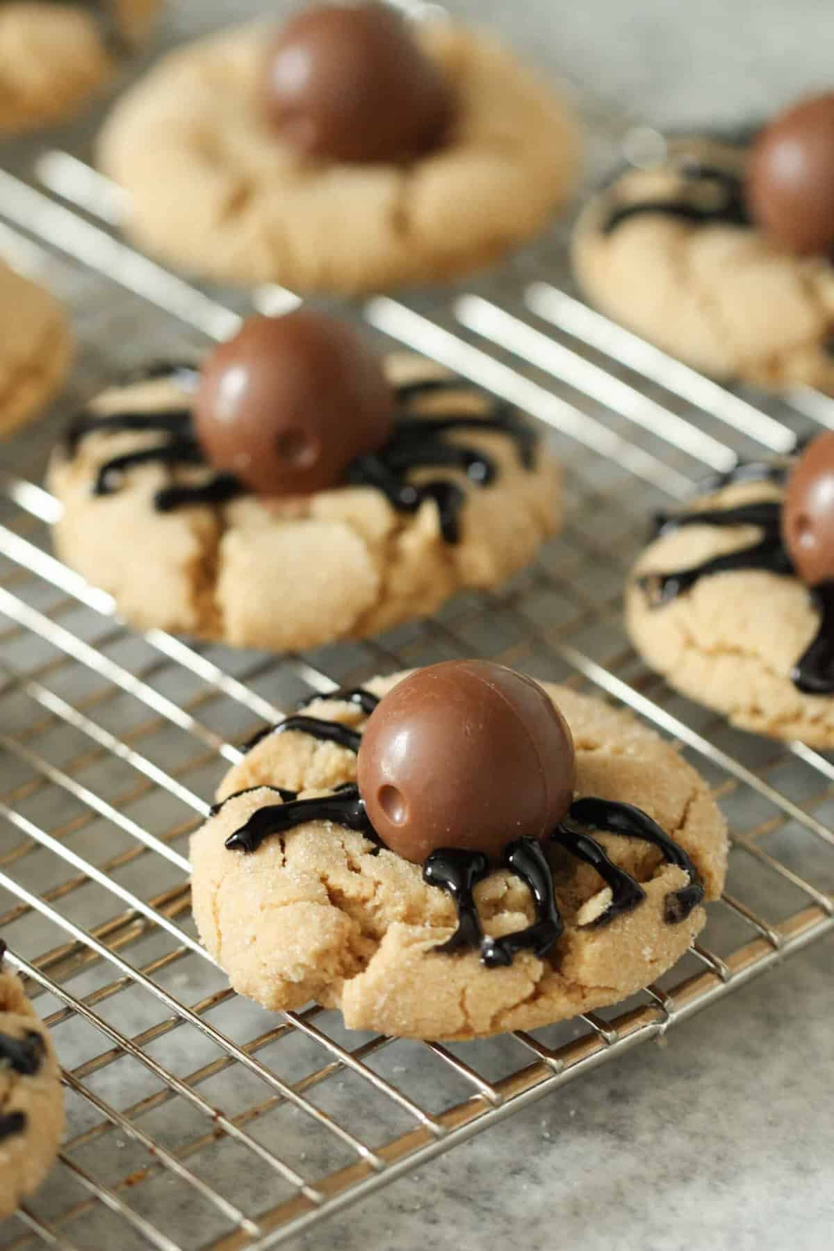 Close-up of peanut butter cookies topped with chocolate balls and drizzled with black icing in a spider pattern, placed on a cooling rack.