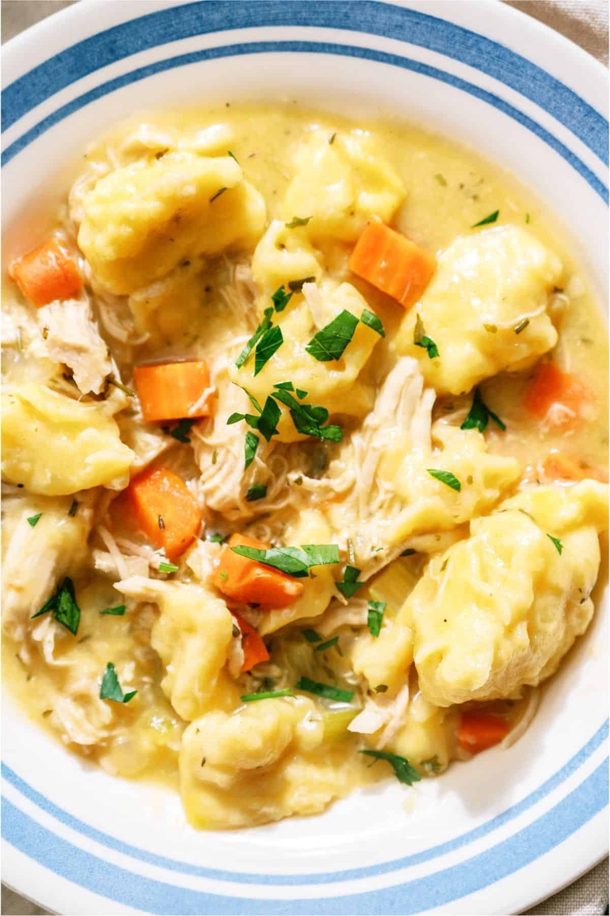 Close up of a bowl of 20-Minute Chicken and Dumplings.