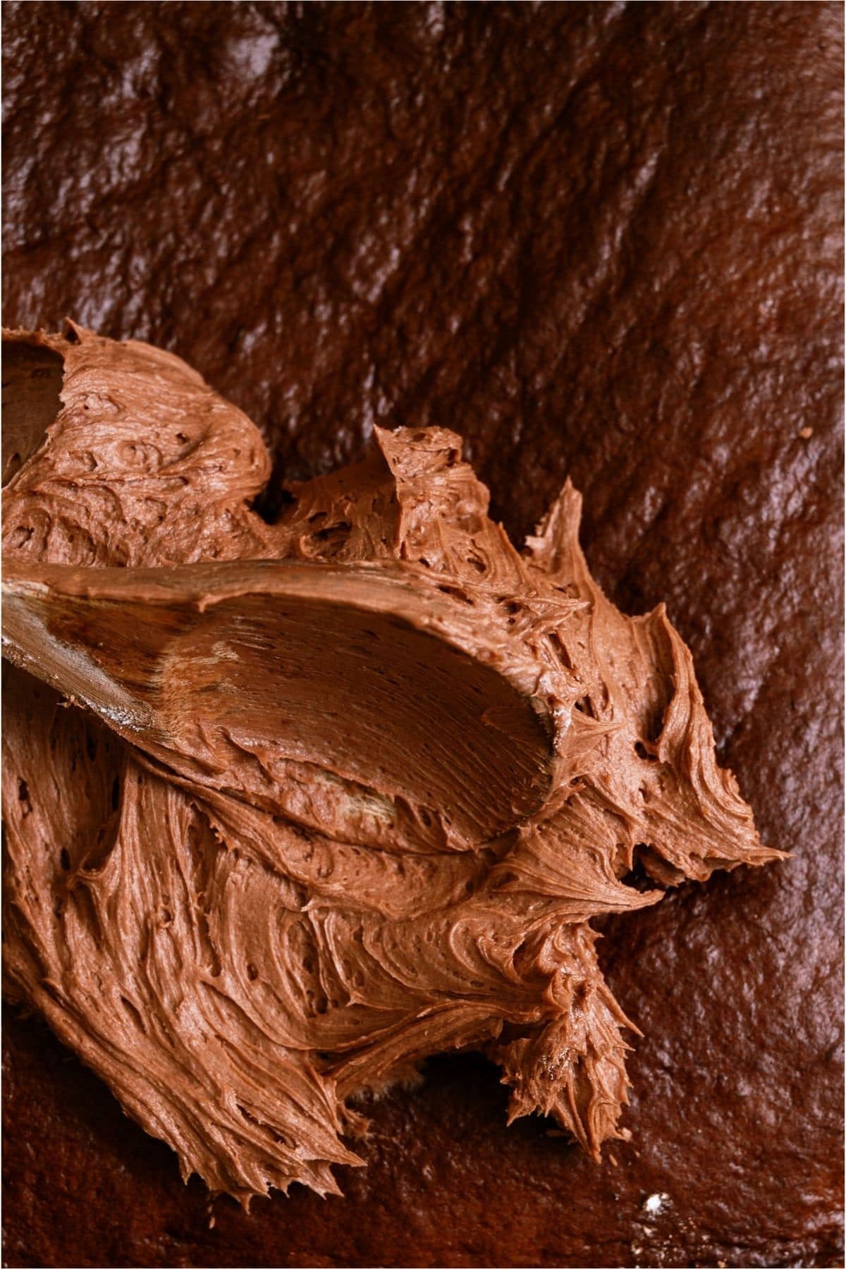 Chocolate buttercream frosting on top of chocolate cake.