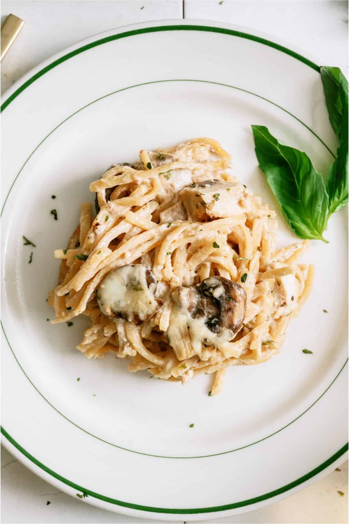 A serving of Homemade Turkey Tetrazzini on a white plate.