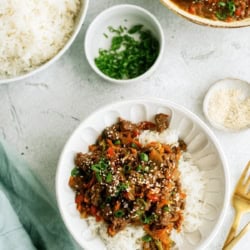 A bowl of white rice topped with stir-fried vegetables and ground meat, garnished with chopped green onions and sesame seeds; bowls of rice, green onions, and sesame seeds nearby.