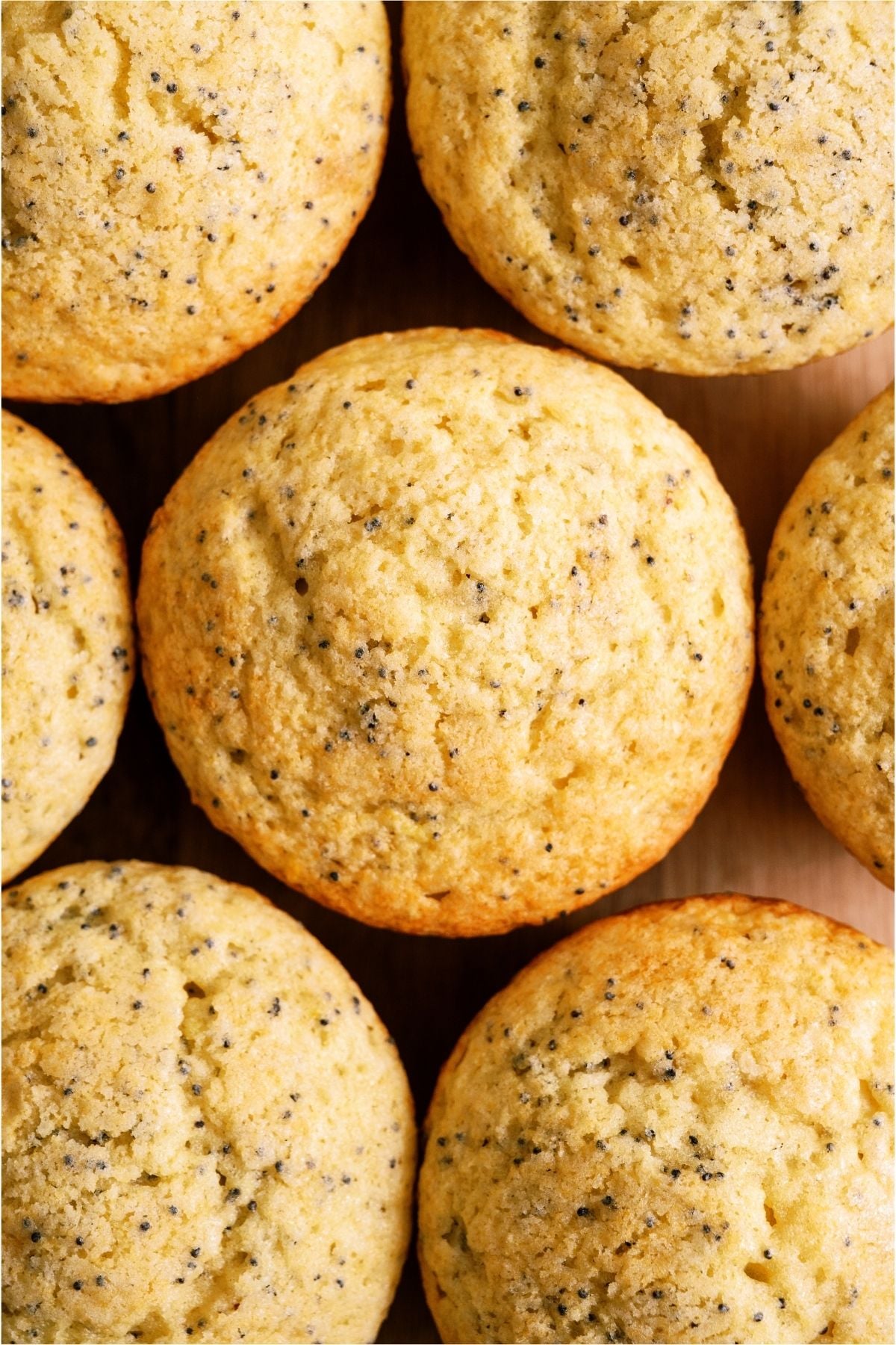 Top view of Almond Poppy Seed Muffins.